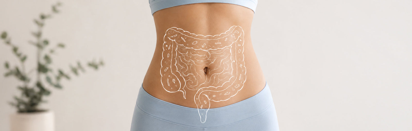 Disbiosis intestinal: qué es, síntomas, causas y tratamiento