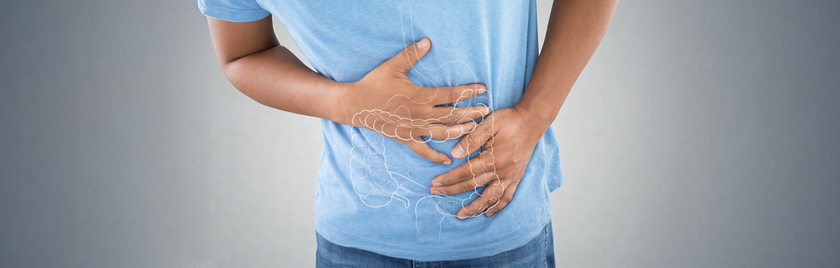 El impacto del cortisol (estrés) en la inflamación y la inmunidad intestinal