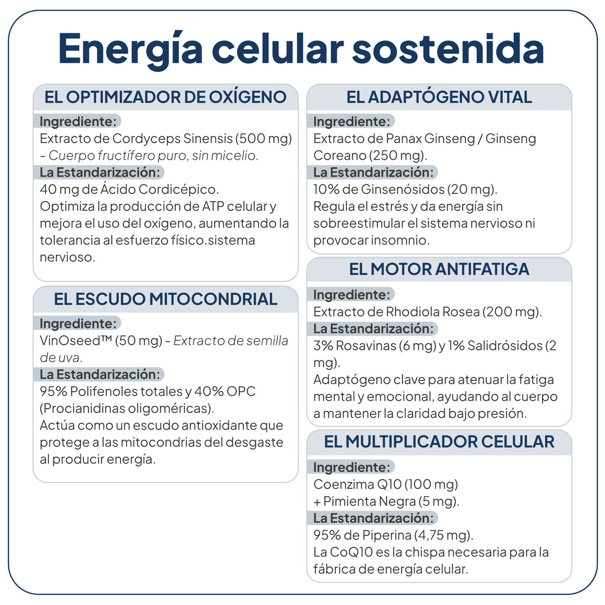 Energy UP