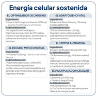 Energy UP