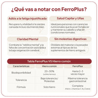 FerroPlus