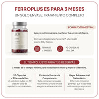 FerroPlus