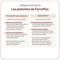 FerroPlus