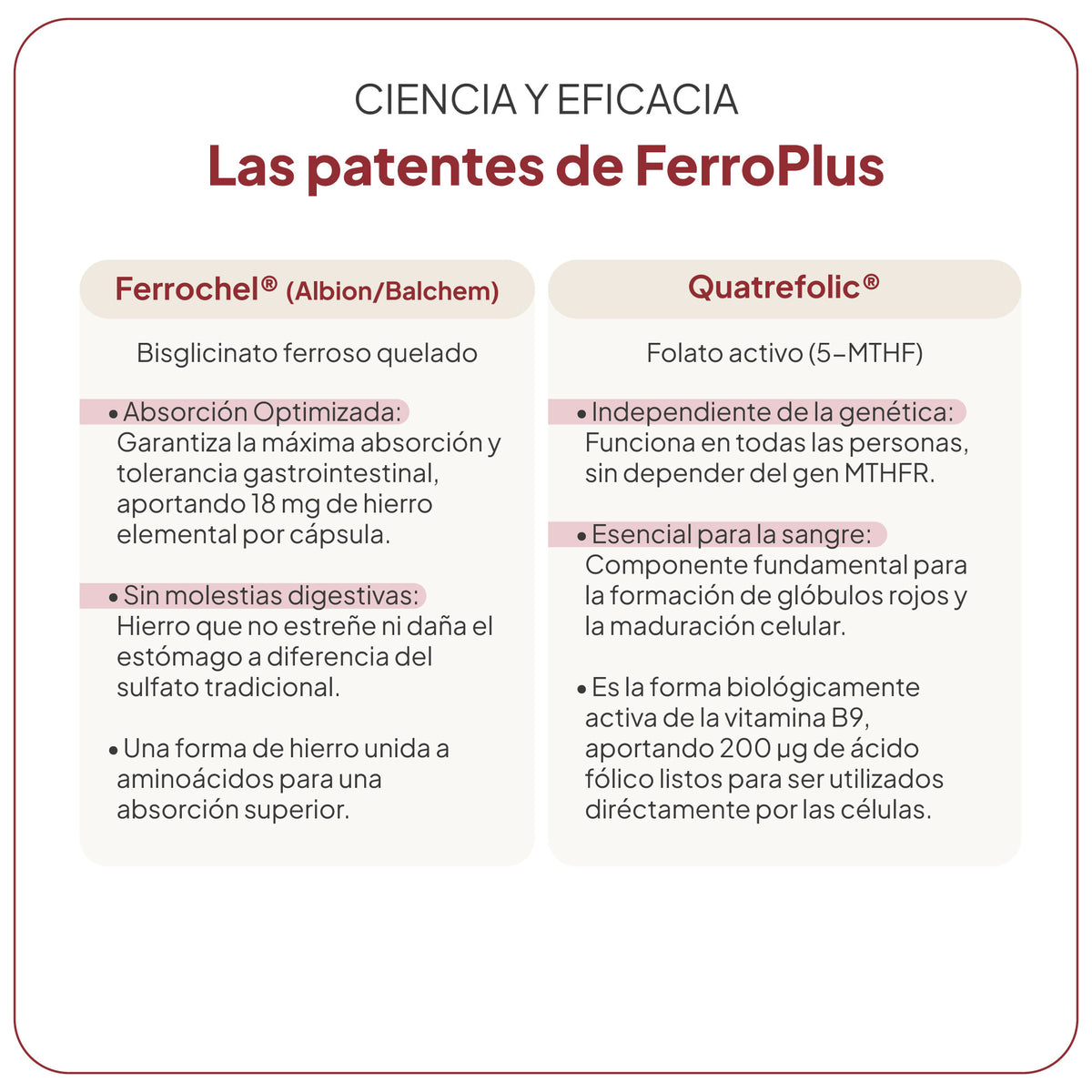 FerroPlus