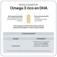 Omega 3 rico en DHA