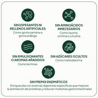 Proteína Vegana