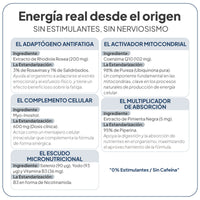 TyroEnergy