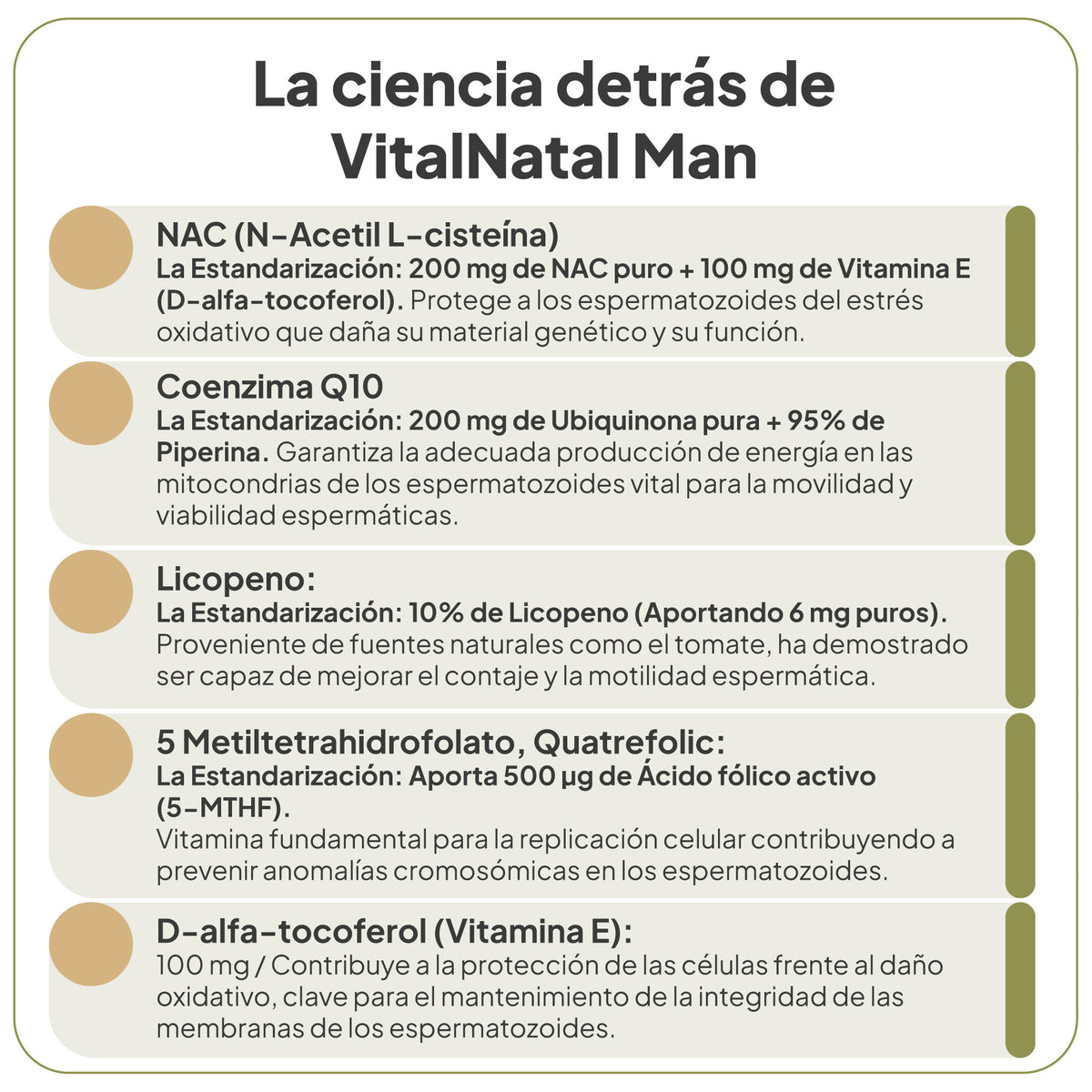 VitalNatal Man