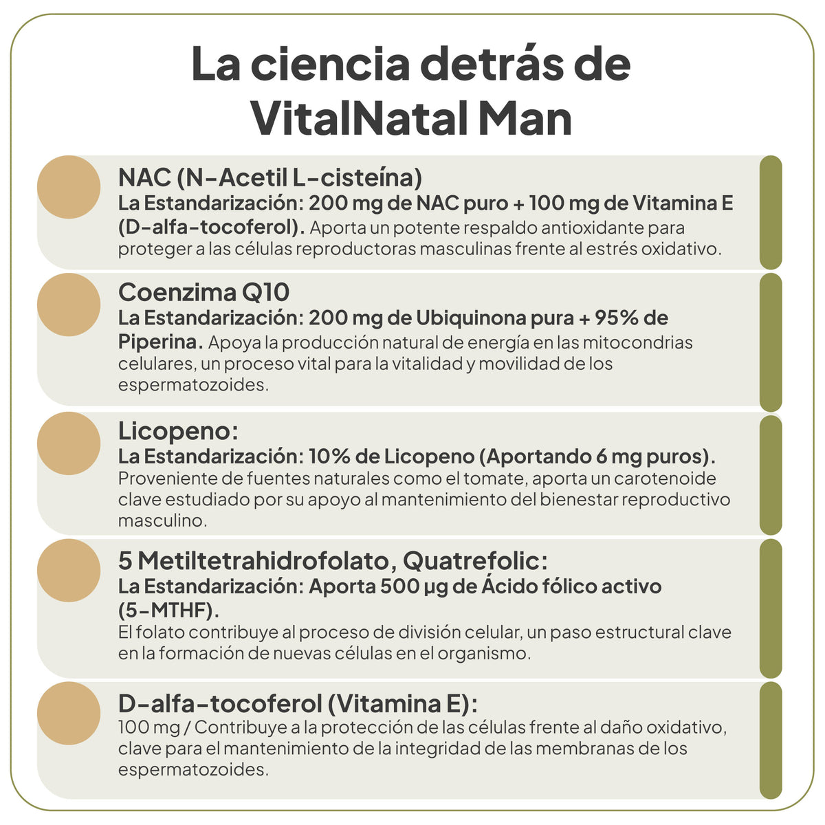 VitalNatal Man