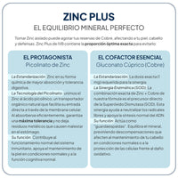 Zinc Plus