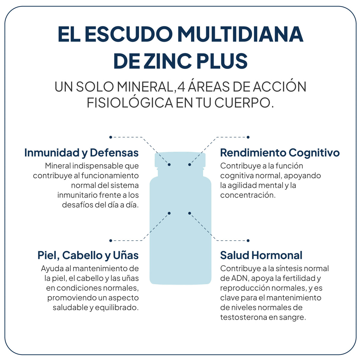 Zinc Plus