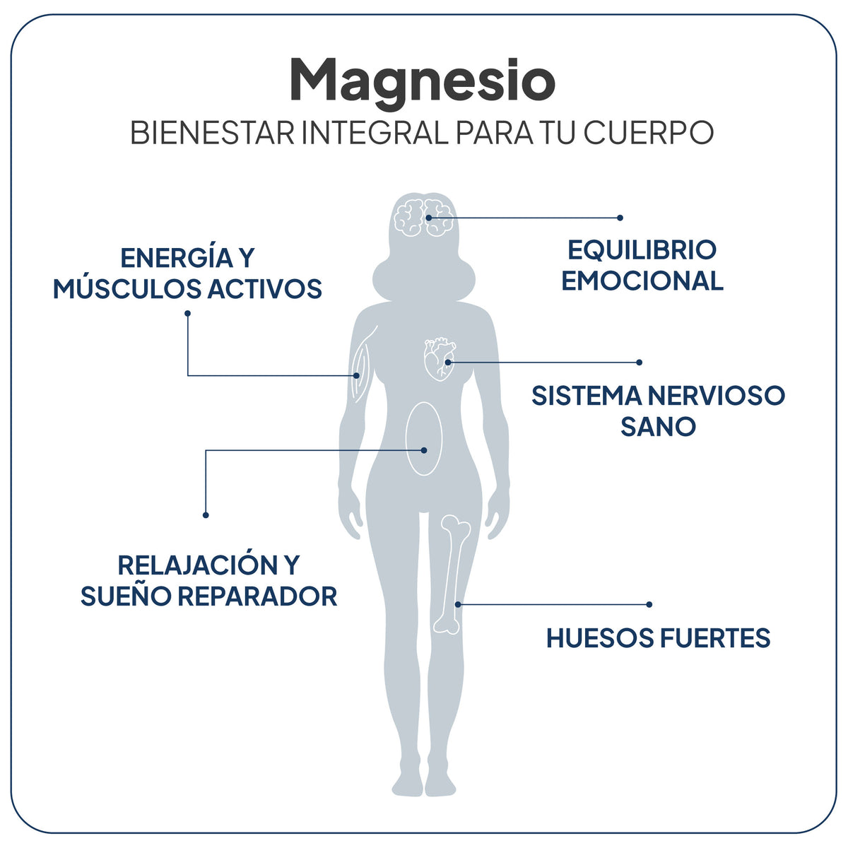 Total Magnesium